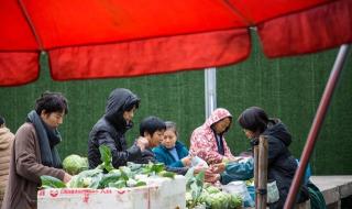 菜市场什么生意好 菜市场做什么生意好